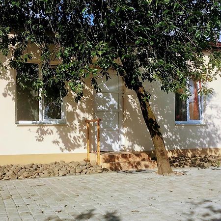 Emilia - Villa & Parking Мукачево Экстерьер фото